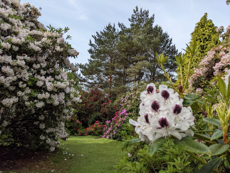 Riverhill Himalayan Gardens